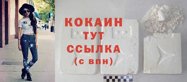 Альфа ПВП Краснослободск