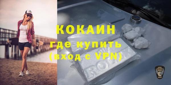гидра Корсаков