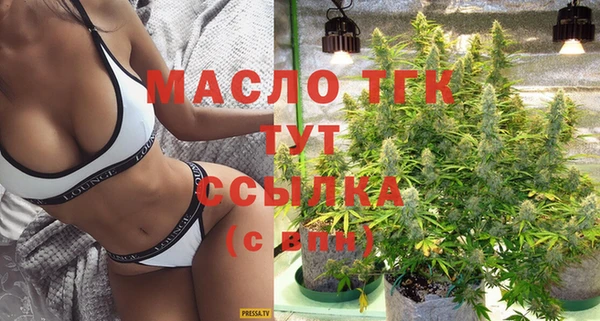 гидра Корсаков