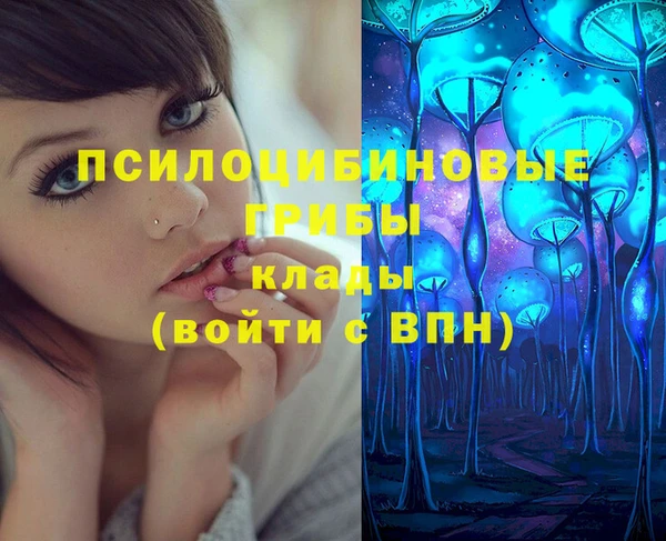 амф Костерёво