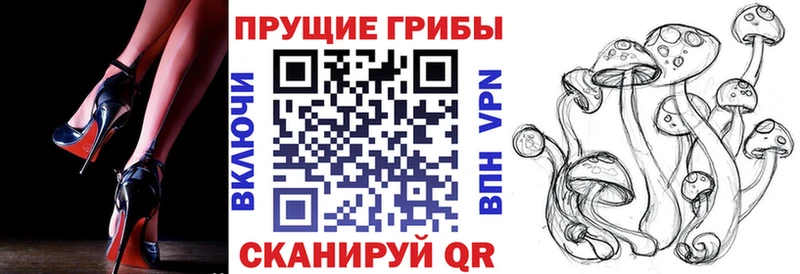 купить Кола Псилоцибиновые грибы Psilocybe